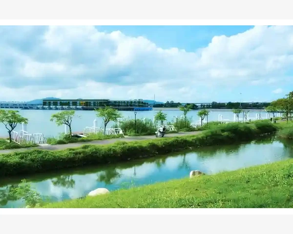清肺润肺，喝什么泡茶？
